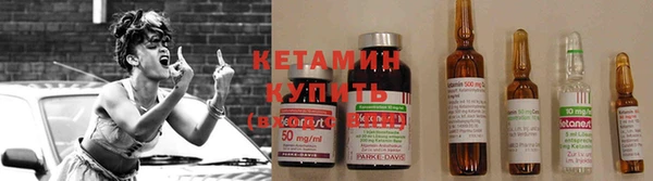 трава Аркадак