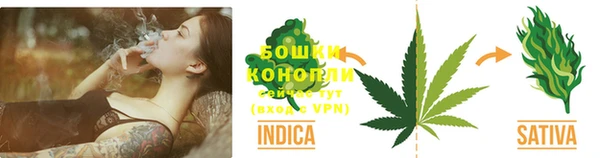 PSILOCYBIN Армянск