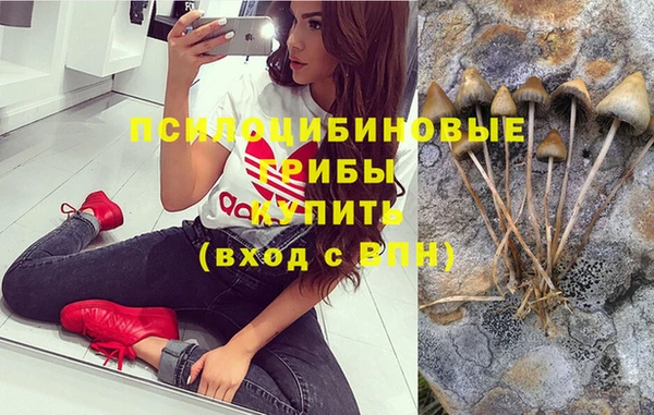PSILOCYBIN Армянск