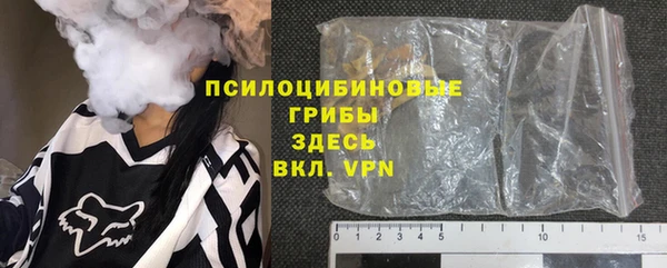PSILOCYBIN Армянск