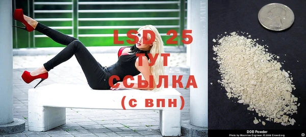 ГАЛЛЮЦИНОГЕННЫЕ ГРИБЫ Беслан