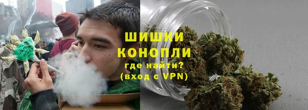 трава Аркадак