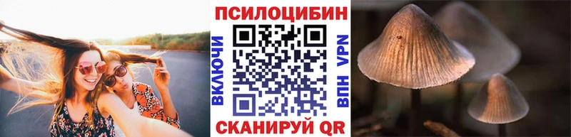 Галлюциногенные грибы GOLDEN TEACHER  наркошоп  OMG как зайти  Краснотурьинск 